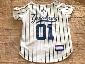yankees dog jersey