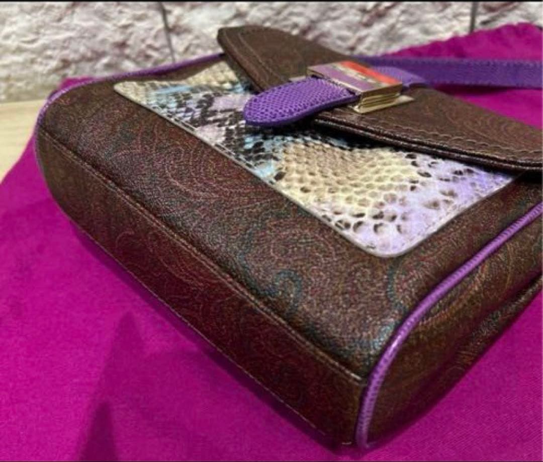 ETRO Python Snake Pattern Mini Shoulder Bag Brown… - image 8