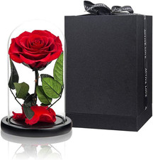 Preserved Roses Red Roses in Glass Dome, Medium, Preserved Flowers for Mothers D