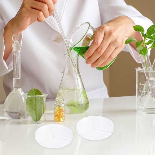 10 Pcs Culture Dish Glass Petri Dish Divided Petri Dish Culture Petri Dish à prix réduit