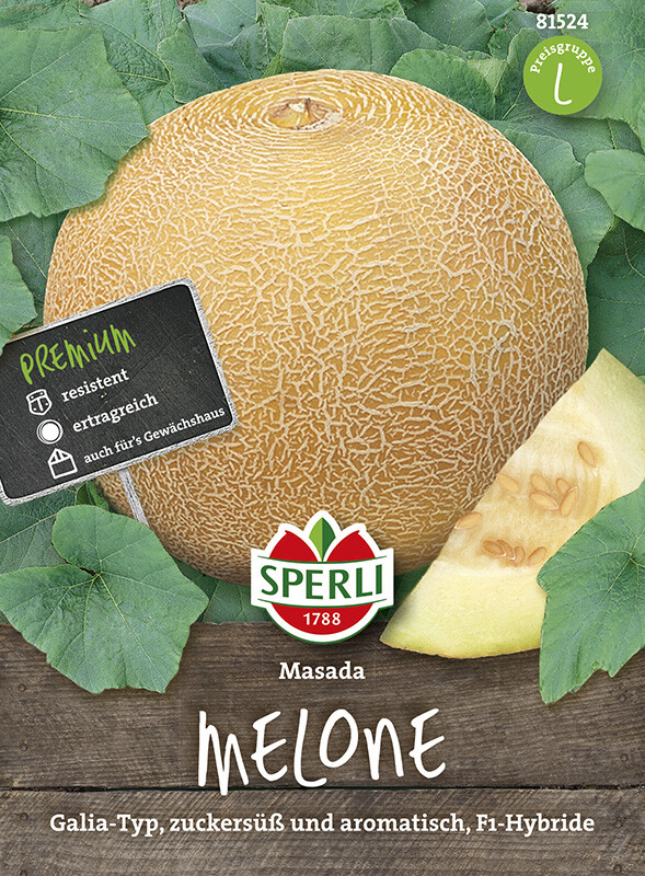 Melón de azúcar Masada F1 (tipo Galia)