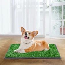 Pet Potty Trainer Grass Mat Dog Puppy Training Pee Patch Pad Indoor Dog Toilet