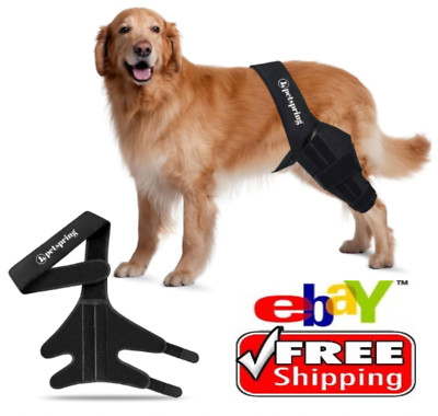 Dog Knee Brace for Torn ACL Pain Relief Support for Front or Hind Leg Large