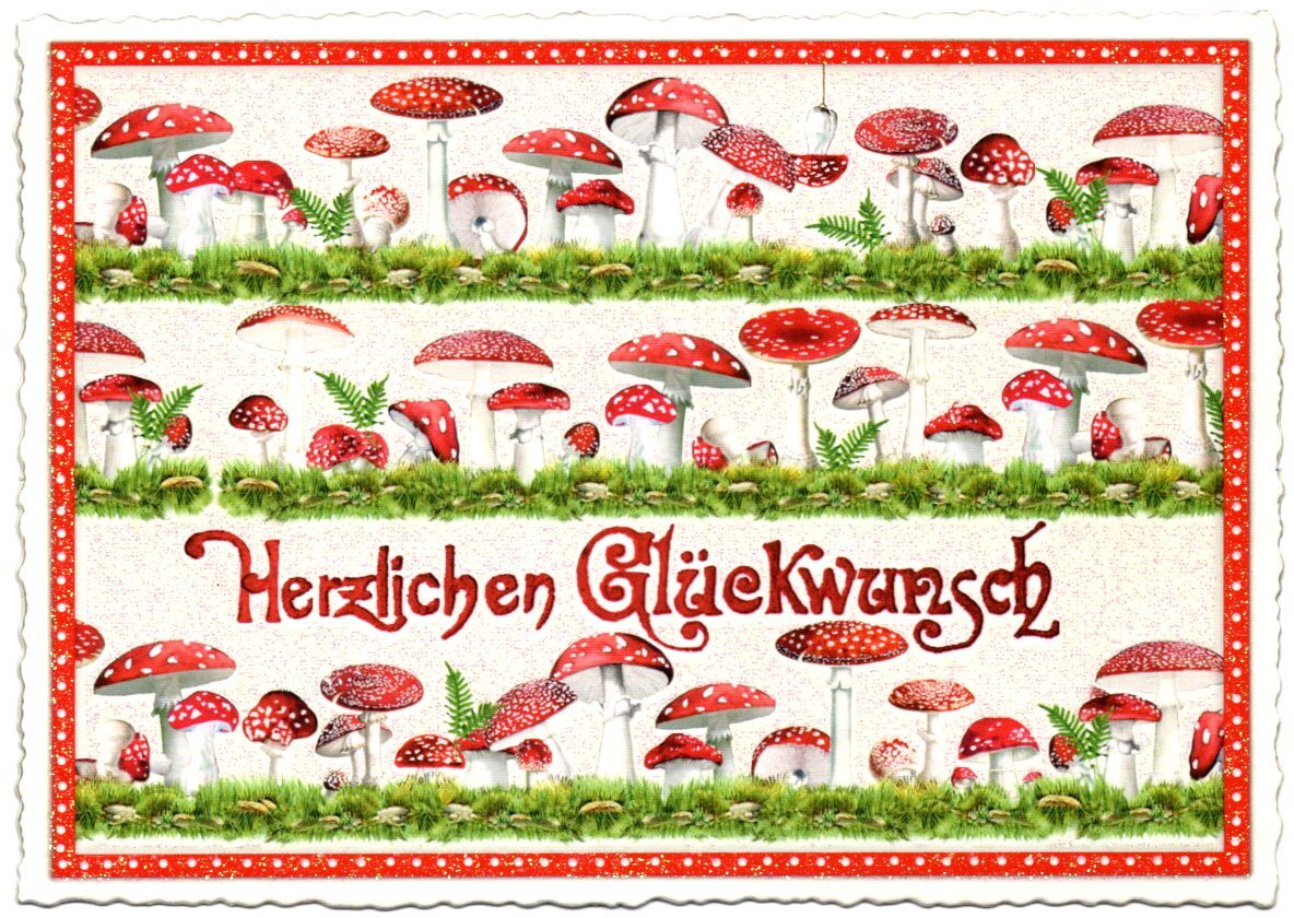 Bild 2 von 52