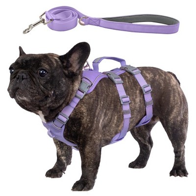 Escape Proof Dog Harness and Leash Set, Lightweight Dog Harness with Lift and...