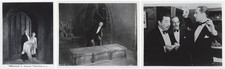 BELA LUGOSI MOVIE PHOTO LOT(3) DRACULA Coffin CHAN Black Camel Vtg 70s Lab Repro
