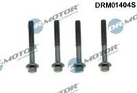 Dr.Motor Automotive DRM01404S Schraube, EinspritzdüSenhalter FüR Dacia Renault
