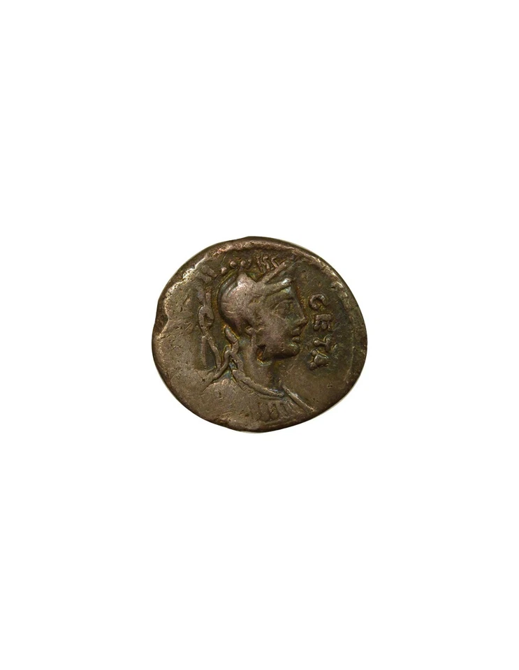 République Romaine Gens Hosidia, Caius - Denier Argent, Sanglier de Calydon - 68 - Photo 2/3