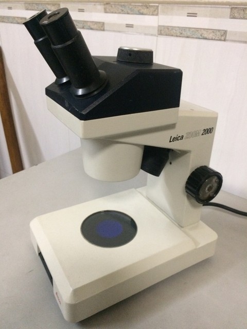 Leica Zoom 2000 Stereo Microscope for sale online | eBay