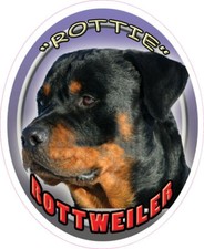ROTTWEILER DOG PET 1" Large Round Pendant Charm Silver 20" Necklace Women Men