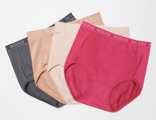 Breezies Women's Set of 4 Nylon Microfiber Brief Panty Solid Orchid Small Size