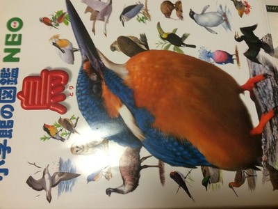 (Picture book NEO Shogakukan) Birds (2002) ISBN: 4092172052 [Japanese Import...