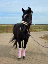 Bandagierunterlagen aus 100 % Sylter Schafwolle, bio, wohltuend 2er-Set
