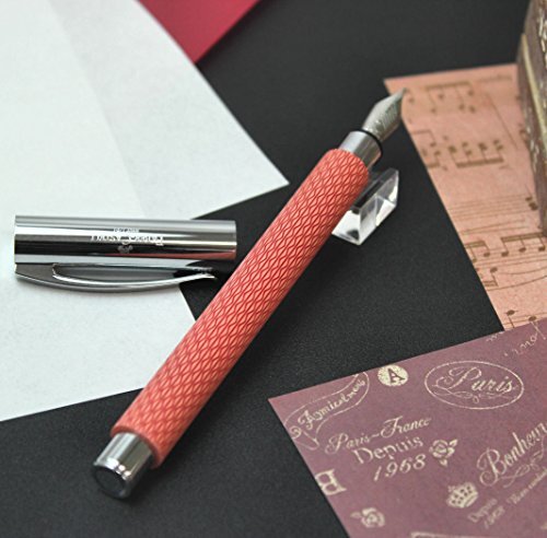 Pelikan Demonstrator Fountain Pen M205 Clear F Nib Limited | eBay