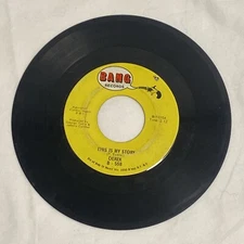 Derek (45 RPM Vinyl Record) This Is My Story / Cinnamon