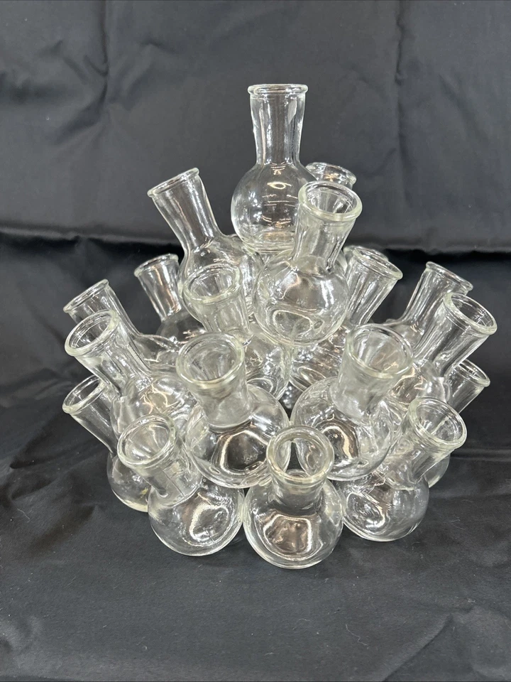 Vaso de vidrio estación de propagación de plantas tubo de ensayo jarrón rooter juego de 2 piezas-8" de alto Foto 4 de 4