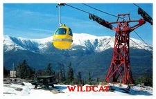 Postcard TRAM SCENE State of New Hampshire NH AS9401