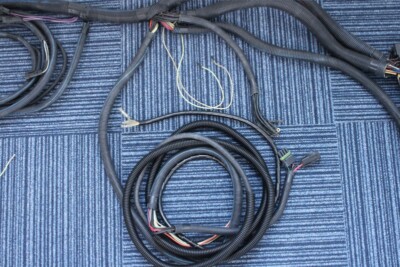 SEADOO Wiring Harness Assy for 200SPEEDSTER SCIC 2006 (W SEADOO Wiring Harness Assy for 200SPEEDSTER SCIC 2006 (W