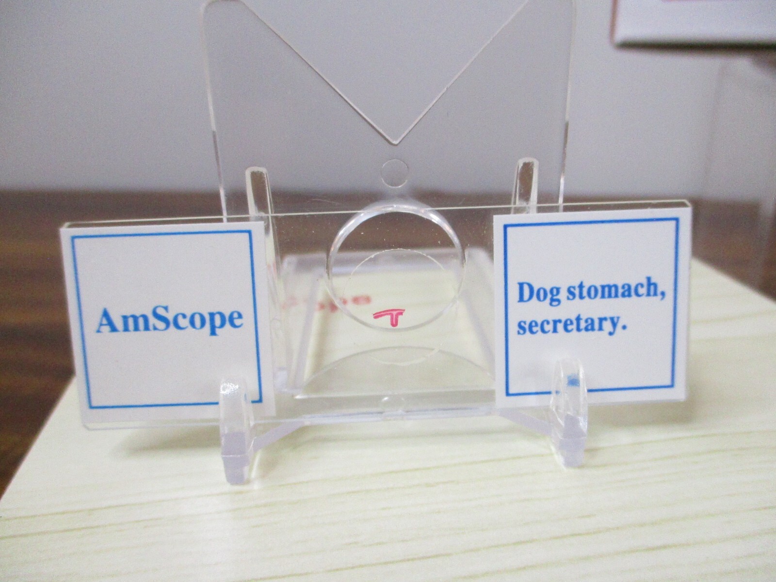 AmScope 25 Prepared Microscope Slides Glass with Wooden Box PS25W NEW