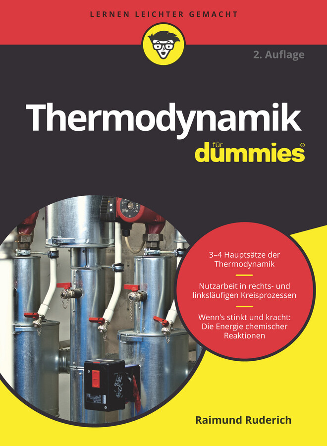 Thumbnail - Raimund Ruderich / Thermodynamik Für Dummies