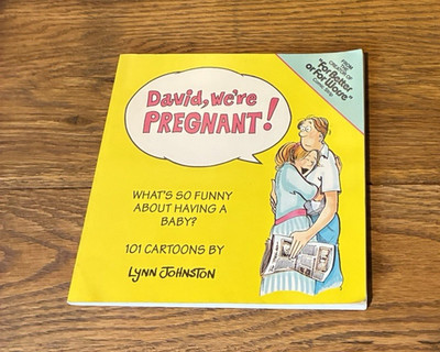Vintage Lynn Johnston Book David, We're Pregnant! - Sunday Comics