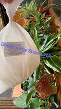 Prawn Cracker Ingredients Labels | Allergens Food Catering Stickers5000