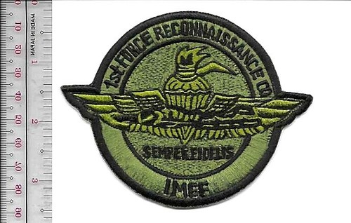 US Marine Corps 1st Force Reconnaissance Co 1 Marine Expiditionary ...