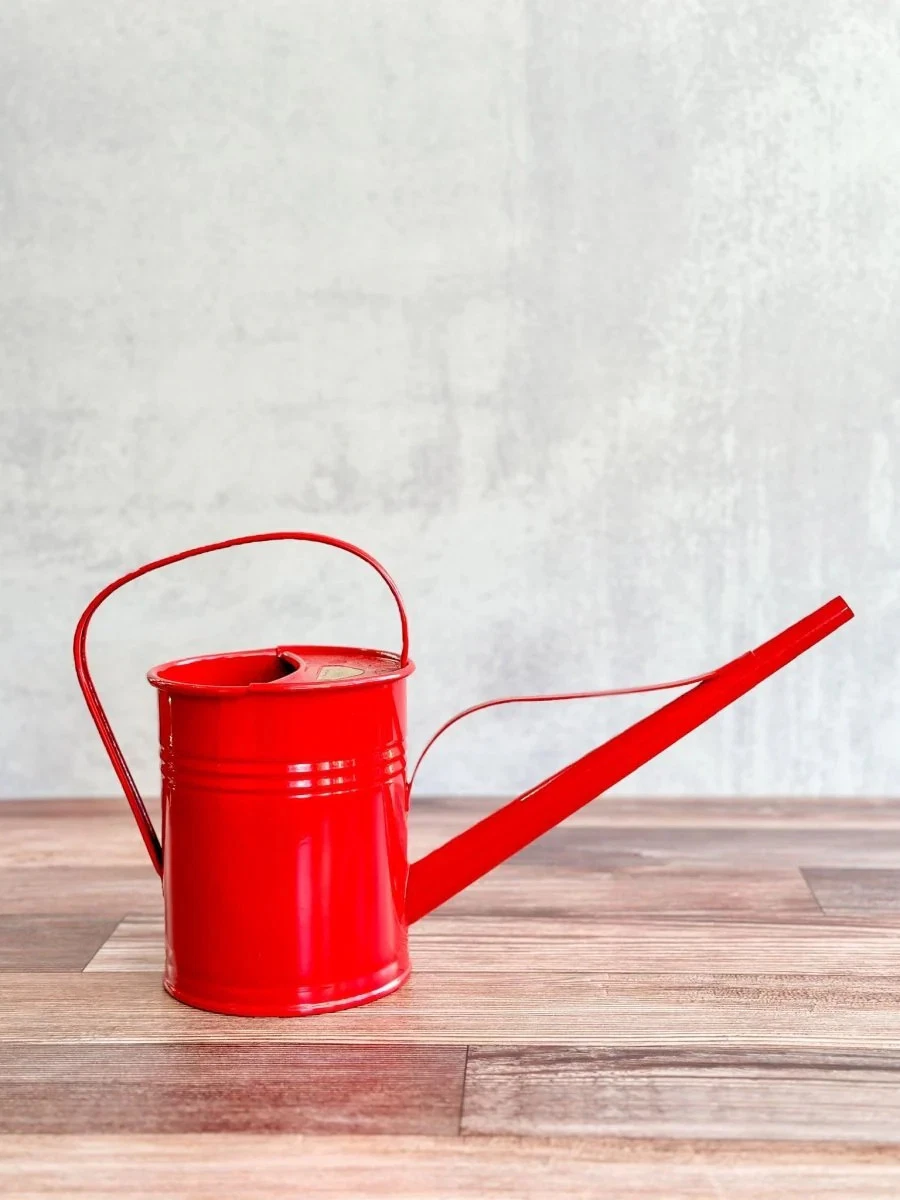 Plint Watering Can