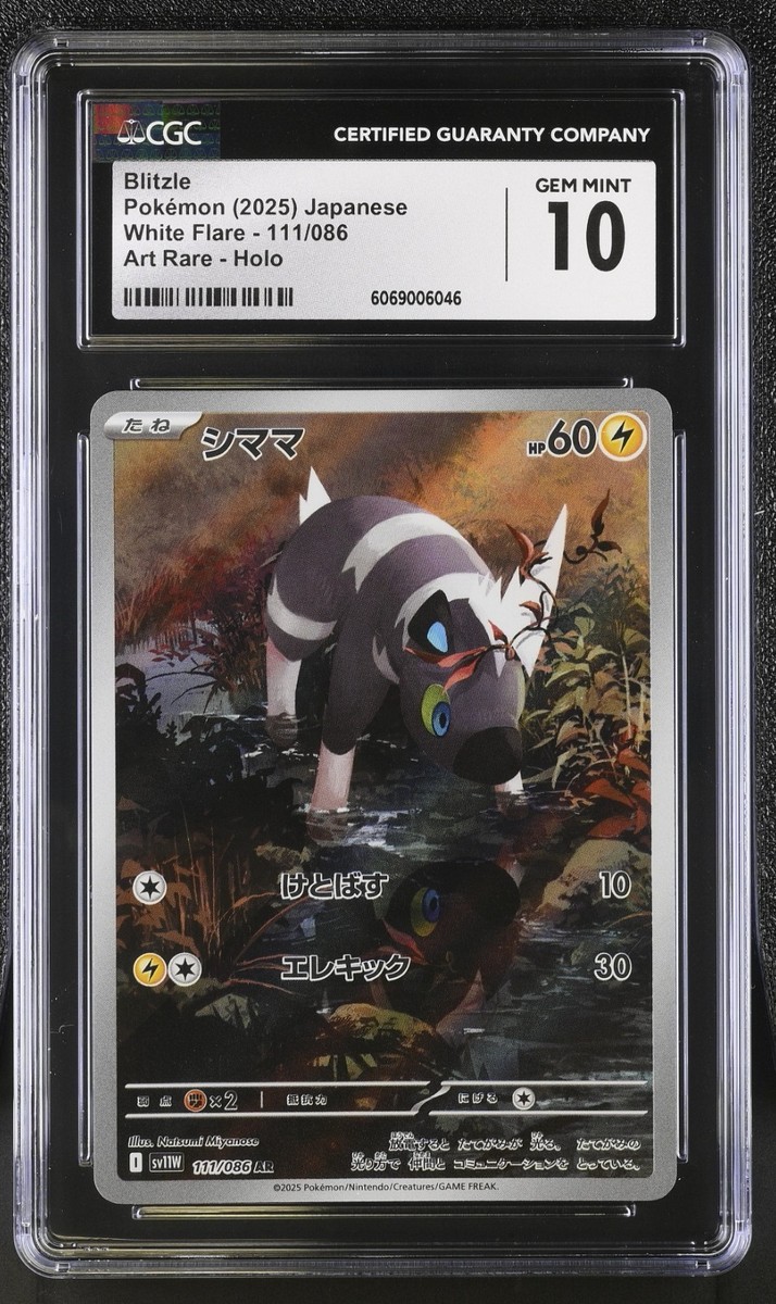CGC 10 Blitzle 111/086 AR Art Rare White Flare sv11W Pokemon Card