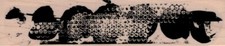 Texture Background 1 1/2 x 6 1/2" Rubber Stamp, Mixed Media, Background