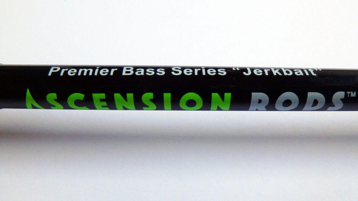 Ascension Rods Bass Series ORACLE 6'10 Casting Fishing Rod CLOSING SALE