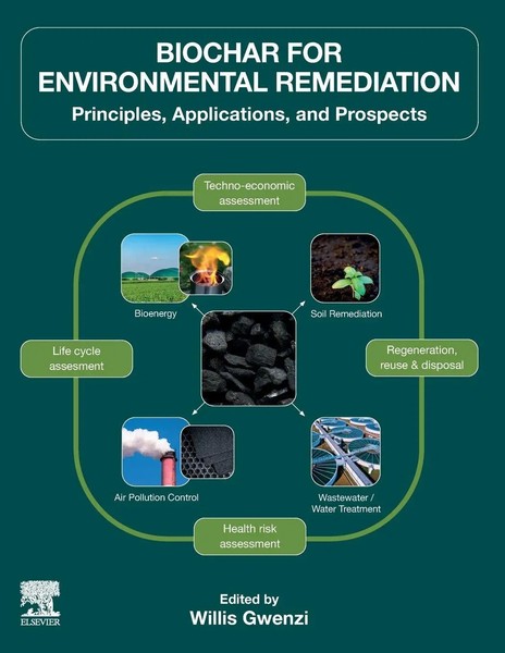 Biochar For Environmental Remediation | Willi Gwenzi | Englisch | Taschenbuch-image
