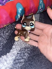 Littlest Pet Shop LPS #817 Great Dane Dog Blue Eyes Authentic Great Condition