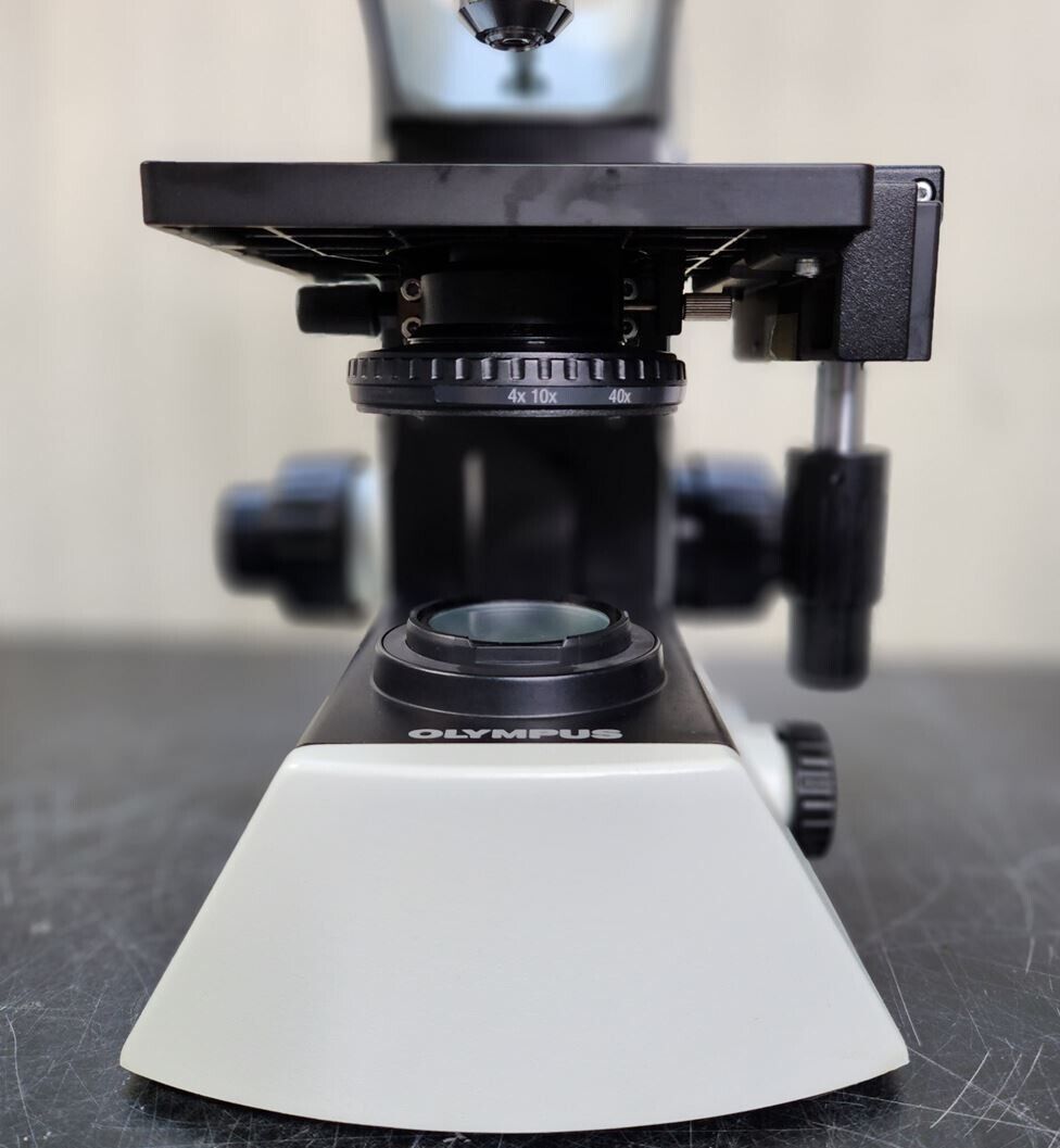 Microscope Olympus CX21 | eBay Microscope Olympus CX21 | eBay