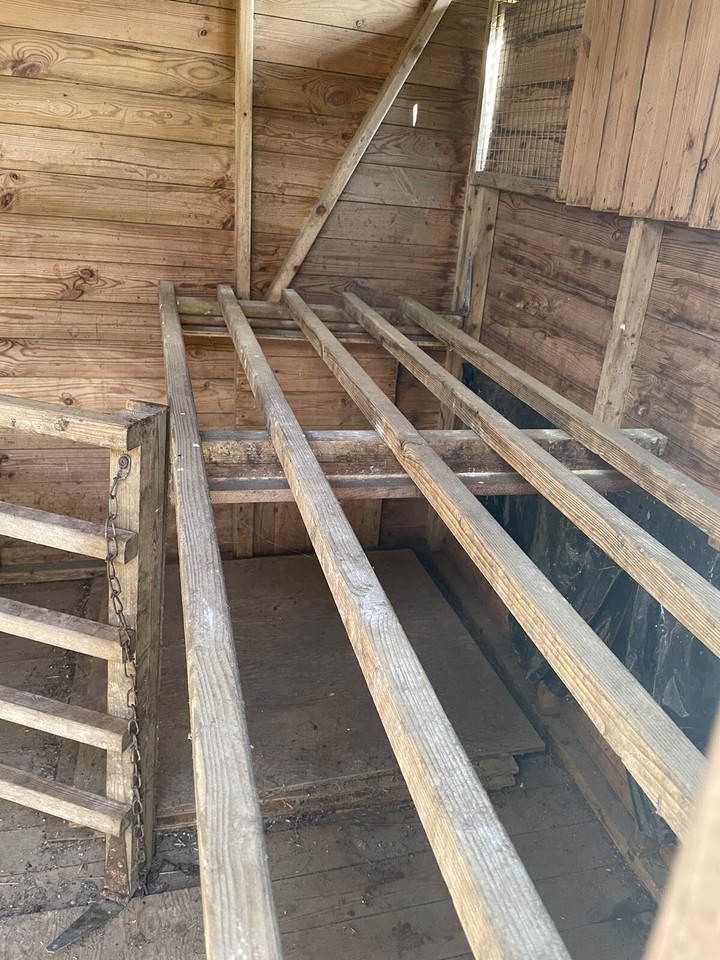 Large second hand Chicken Coop can house 50 hens. Full height Shed. eBay