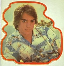 Original Vintage Shaun Cassidy Hardy Boys Iron On Transfer