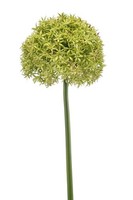 Artplants Kunstblumen Allium Praxen, GrüN, 90Cm