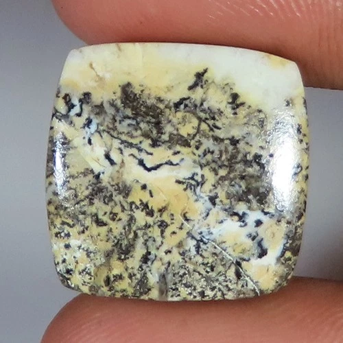 Natural Tiger Dendrite Agate Cushion Cabochon Gemstone 16.35 Cts 19x20x4mm GY51