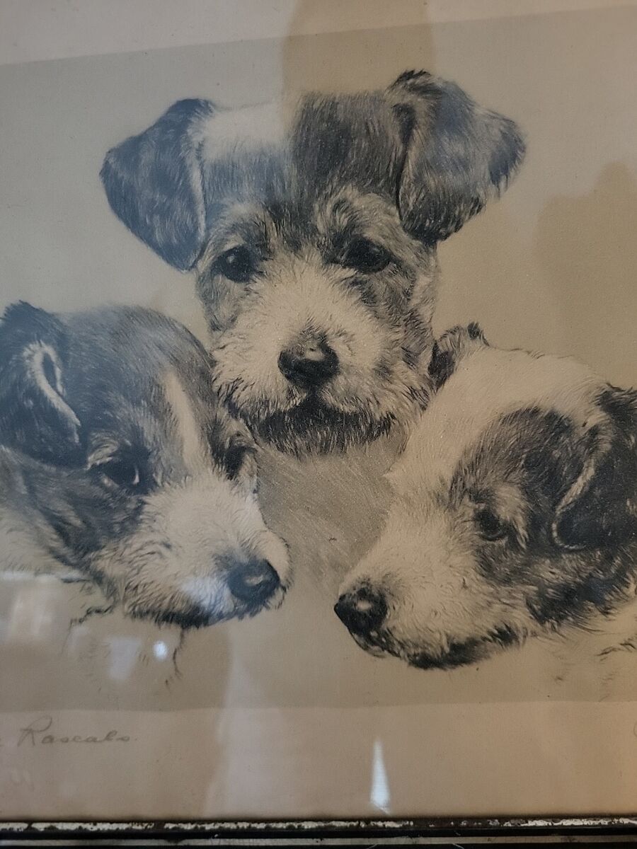 Vintage Framed Signed Dog Print by Kurt Meyer-Eberhardt | eBay Vintage Framed Signed Dog Print by Kurt Meyer-Eberhardt | eBay