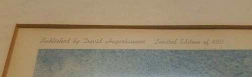 Estampado de Colección David Hagerbaumer: The Narrows - Wood Duck 1971 235/450 firmado 33 x 27 - Imagen 8 de 10