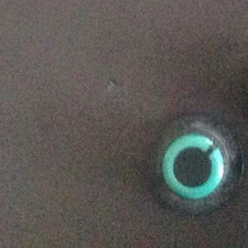 Fostex Model 450 Green Input Level Knobs lot of 16