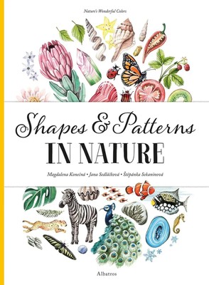 Shapes and Patterns in Nature | Stepanka Sekaninova (u. a.) | Buch | Gebunden