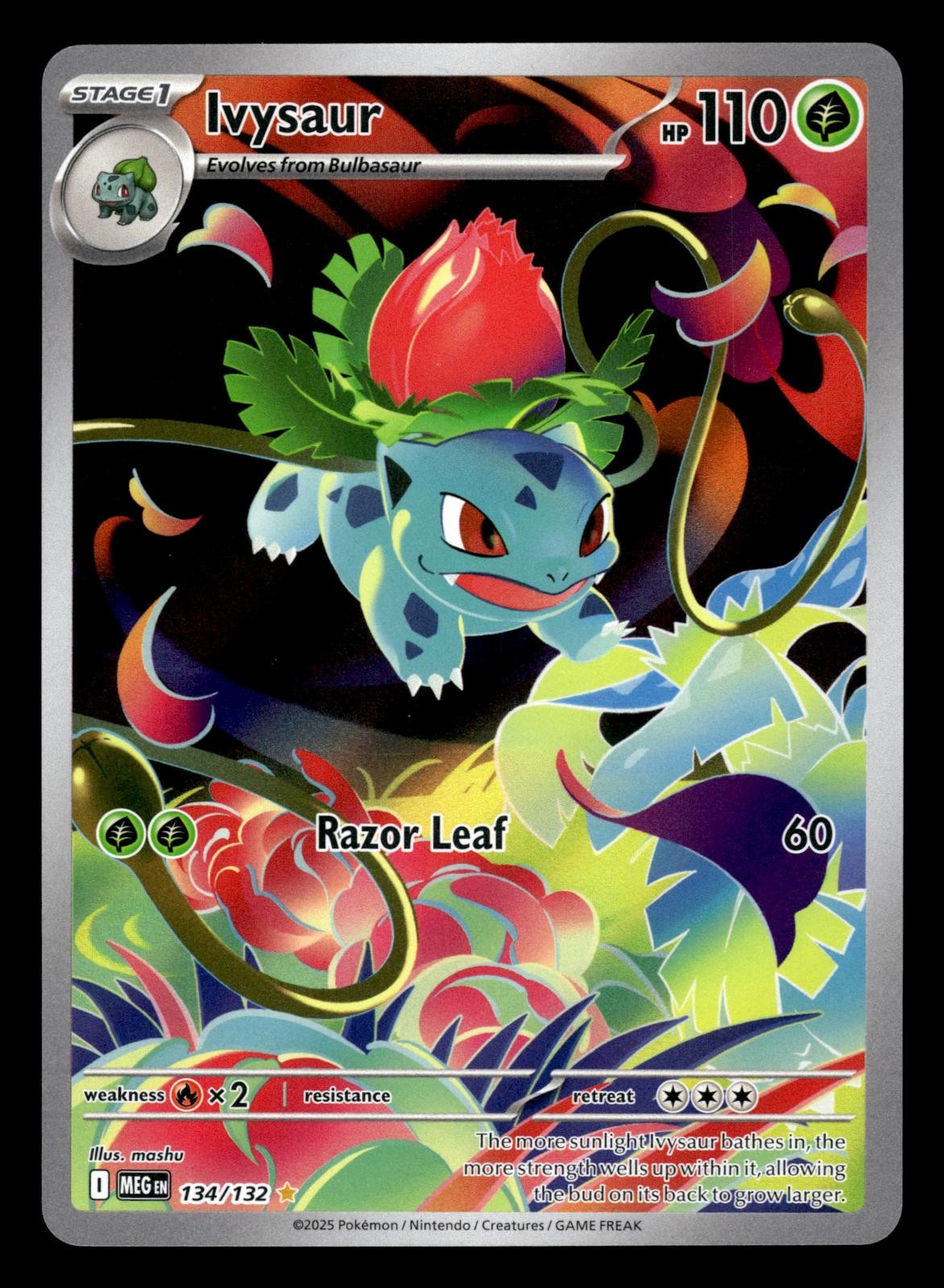 IVYSAUR 134/132 ILLUSTRATION RARE MEGA EVOLUTION POKEMON HOLO NM