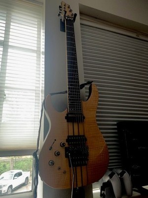 Schecter 7 string guitar (lighly used)