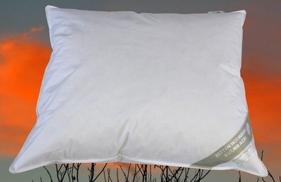 BENELUX  Kissen Kopfkissen Daunenkissen 60x70 cm 100% Daunen flauschig weich