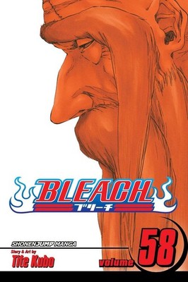 Bleach, Vol. 58: The Fire by Tite Kubo (English) Paperback Book