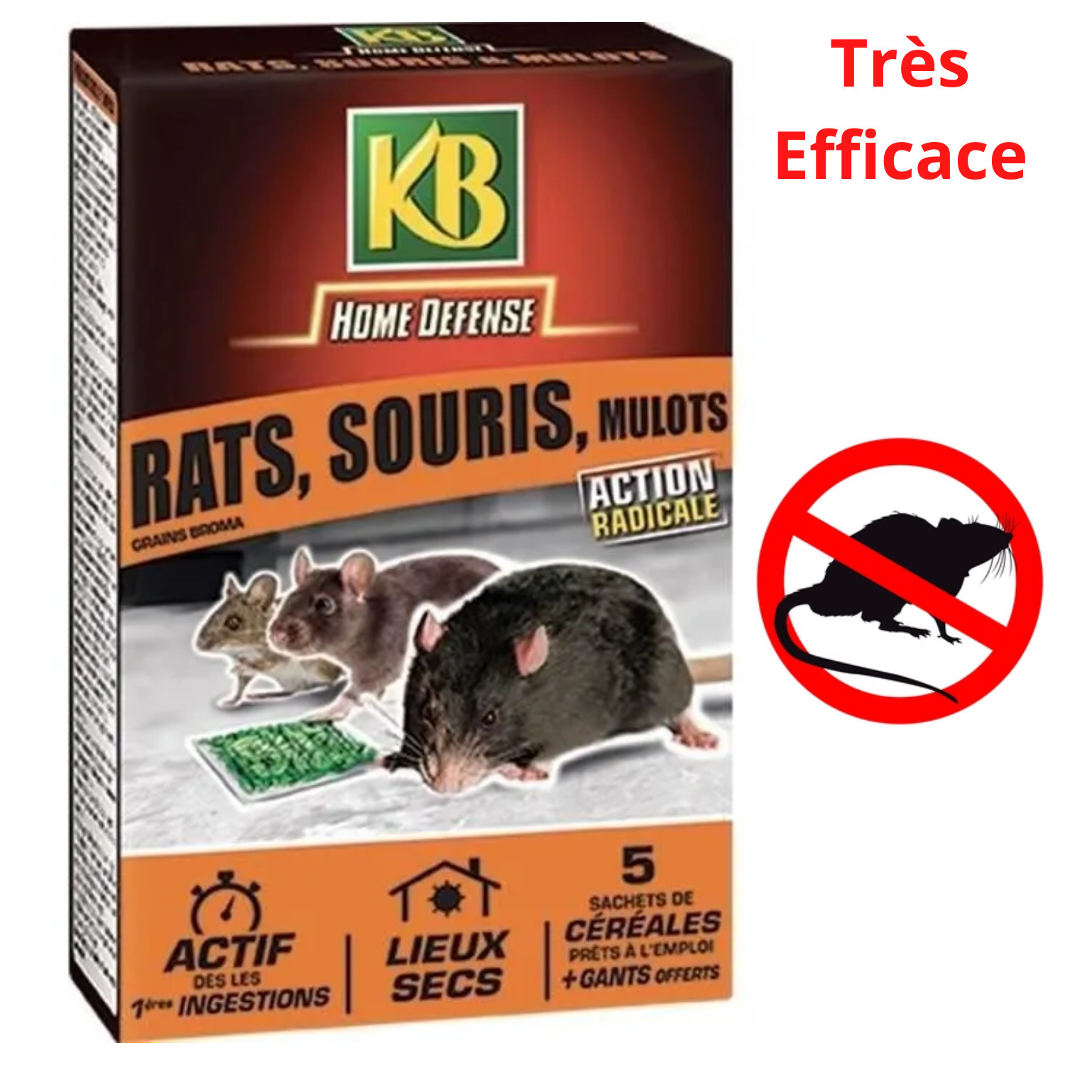 Céréales anti-rats et souris KB Home Defense pour lieux secs - Boîte de 5x25g avec gants