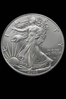 2025-W American Eagle One-Ounce Silver Coin