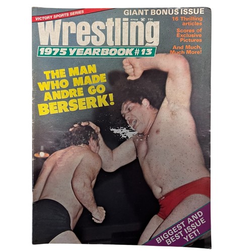 CHOOSE: Vintage Wrestling Magazines 1970s - 1990s WWF Hulk Hogan Billy Graham - Imagen 42 de 63
