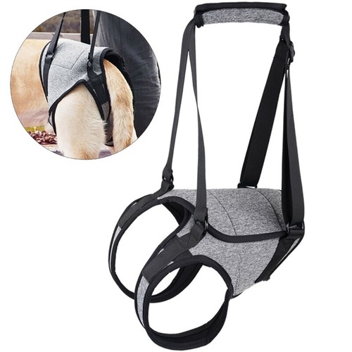 Dog Lift Harness for Large Dogs Pet Dog Sling for Back Legs Supporting UK + - Picture 11 of 16